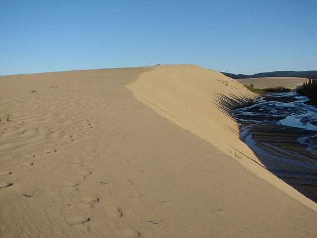 Sand dunes tower over a river corridor.