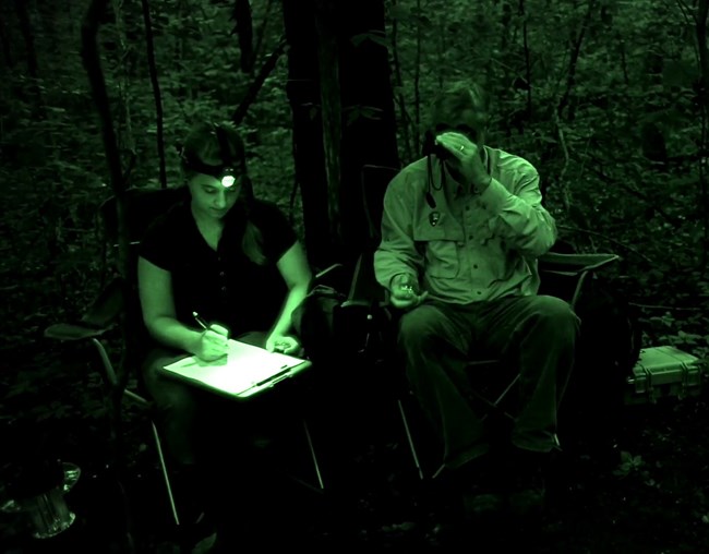 An image taken with a night vision camera of two researchers sitting surveying bats. One researcher uses a night vision scope and a clicker to count bats, the other records the findings.