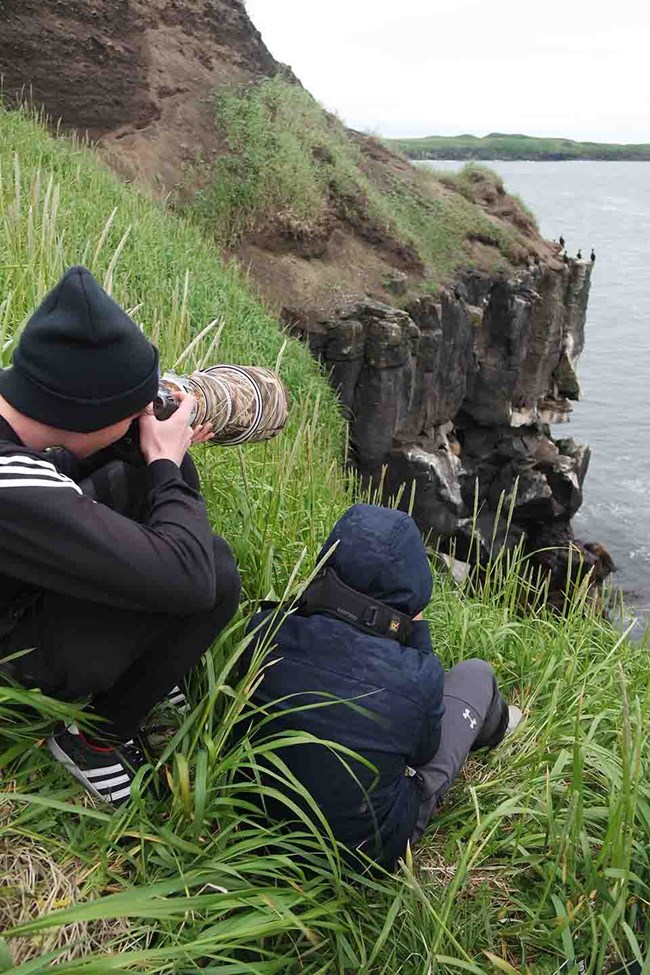 Youth taking photos of seabirds.