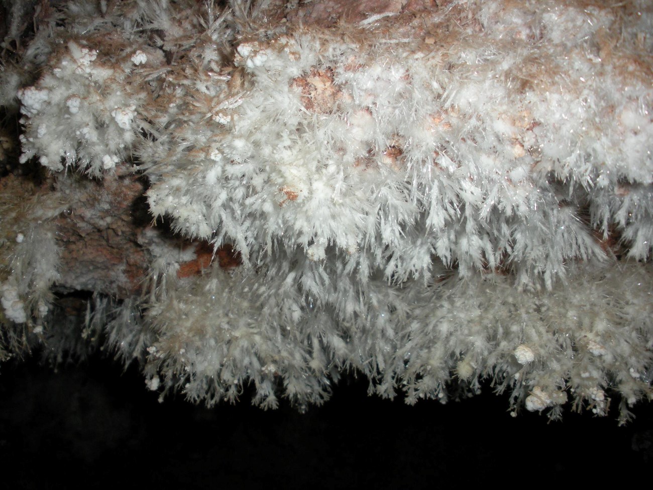 feathery mineral formations on the ceiling of a cave