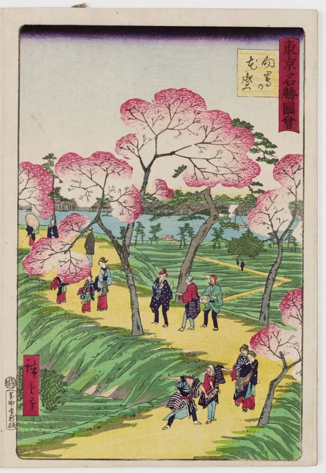 Historic Japanese Image of people observing the cherry blossoms