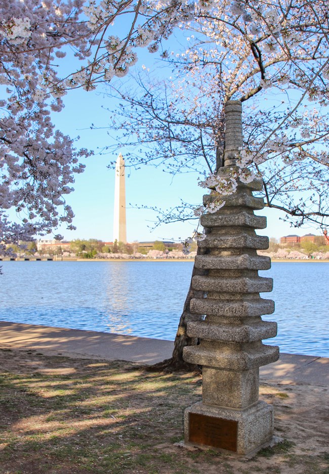 The Japanese Pagoda in the foreground surrounded by bloom cherry trees. The Washington Monument in the background beyond the Tidal Basin