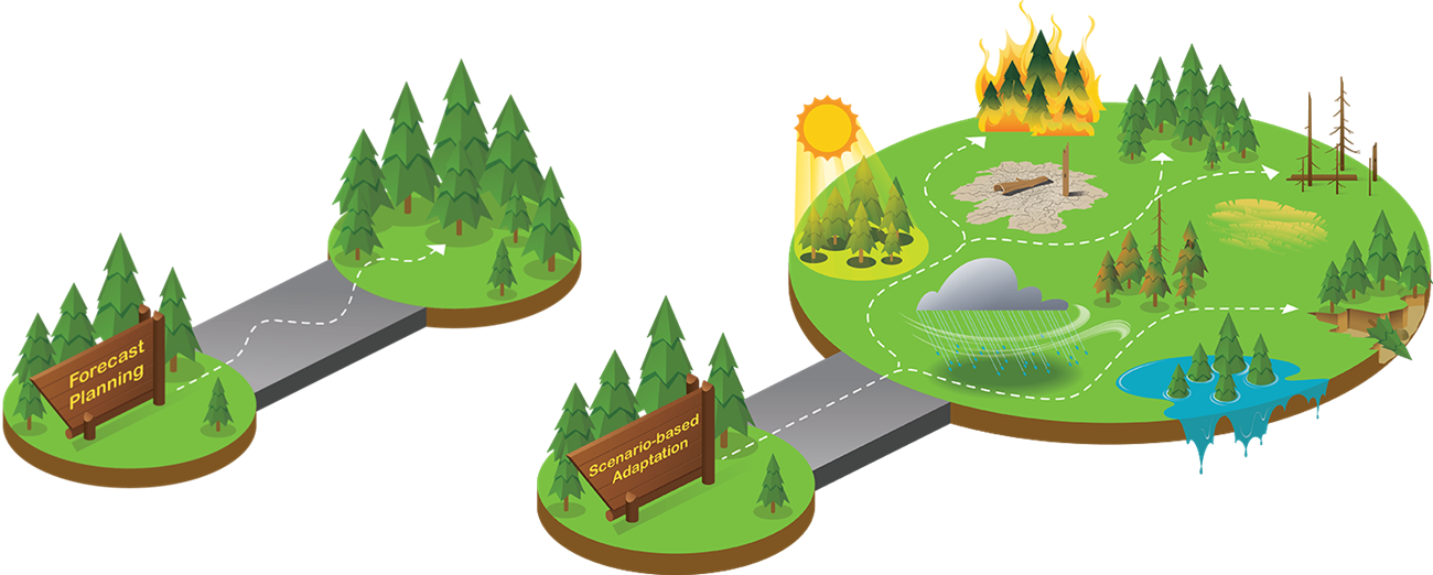 Composite of two vector images. Image on left labeled "Forecast Planning" shows an arrow into a forest. Image on right shows many arrows pointing towards forests, floods, fires, heat, etc