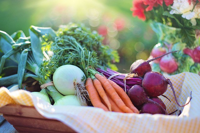 basket of vegetables