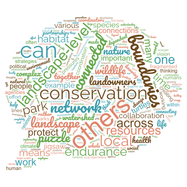 word cloud in shape of thought bubble that includes words like conservation, boundaries, and connections