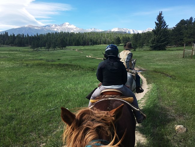 Visitors riding horses across a meadow