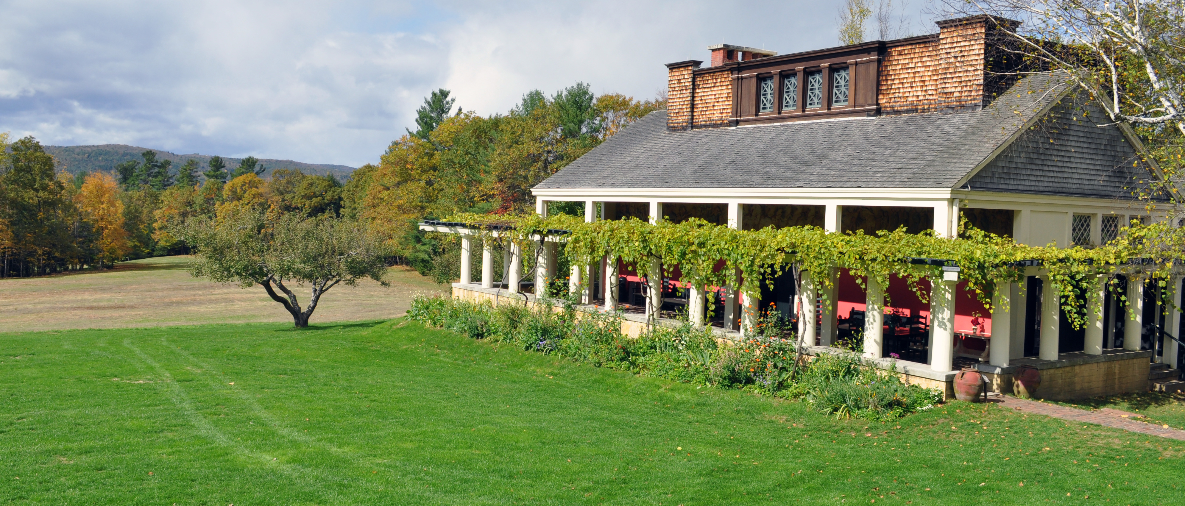 An apple tree stands in a grassy area to the left of a single-story building with vines on the pergola around the perimeter.