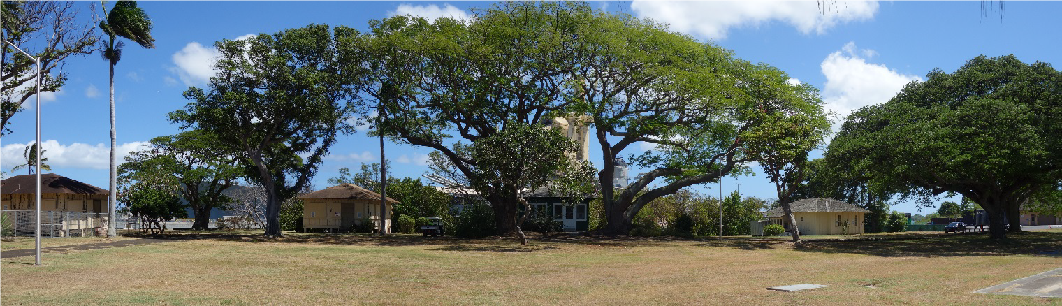 A panoramic view of an area of open lawn, bounded by trees, shrubs, and a row of bungalows.