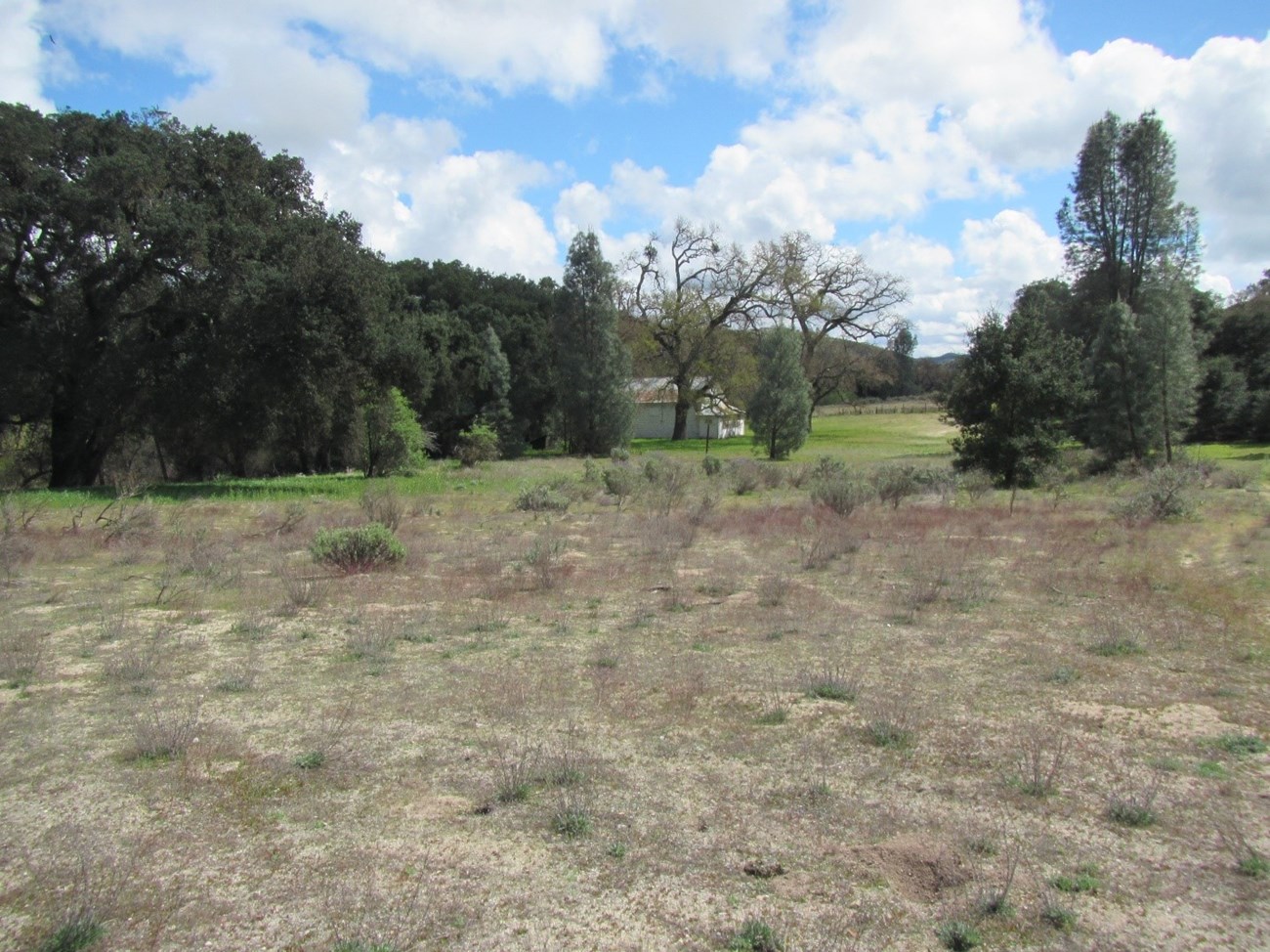 The schoolhouse structure in the distance is surrounded by a yard with trees and green lawn, with fields beyond