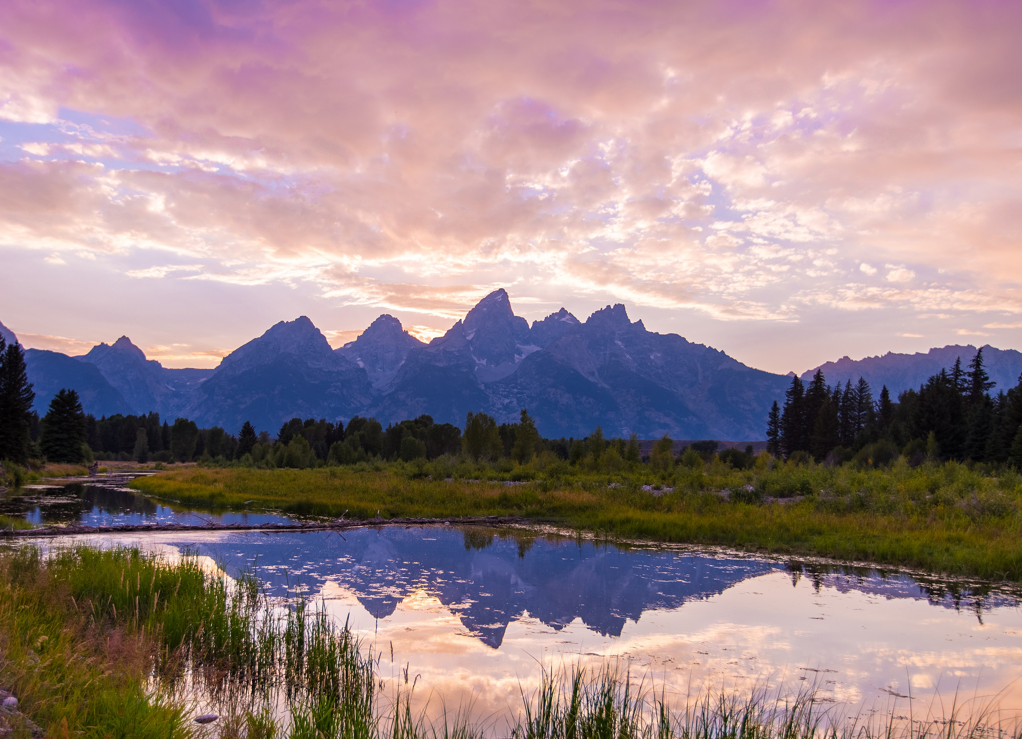 Soft, pink clouds and jagged blue mountains are reflected in the still, clear water of a river, surrounded by grasses