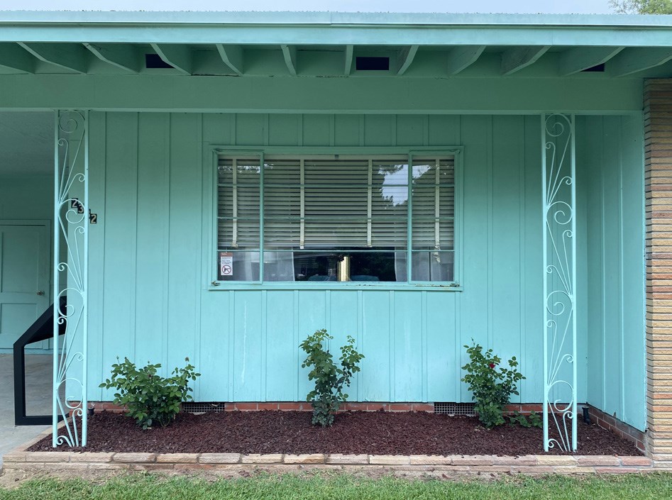 Three rose bushes grow in a planter under a rectangular window in a blue-green wall.