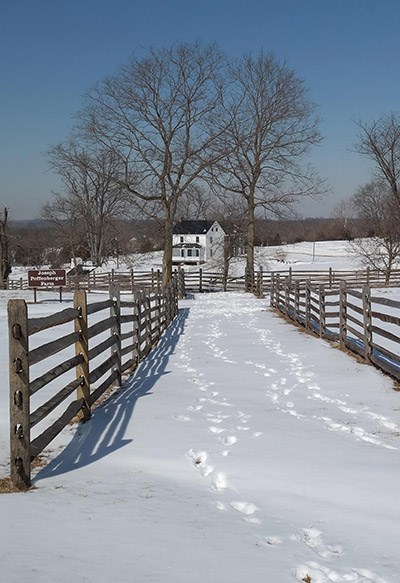 Footsteps in snow lead between two rows of wooden fencing towards a farmhouse under leafless trees