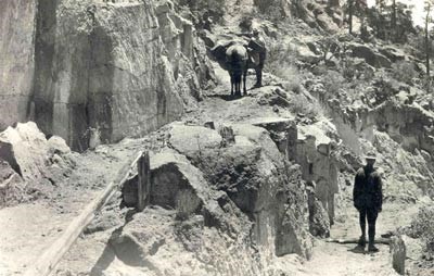 Two men and a mule stand on a steep and rocky trail