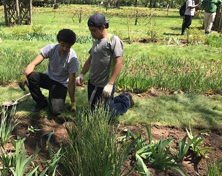 Two young men kneel in grass beside a flower bed in early spring
