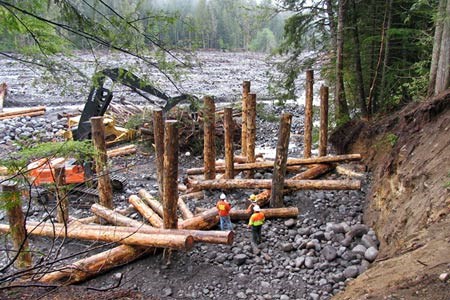 Workers use machinery to engineer a log structure near a river embankment