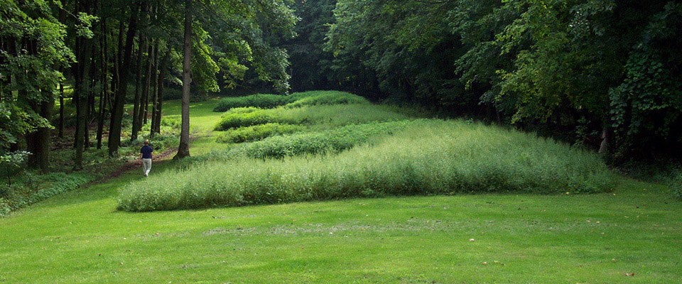A person walks beside leafy trees and grass covered earth mounds in a clearing