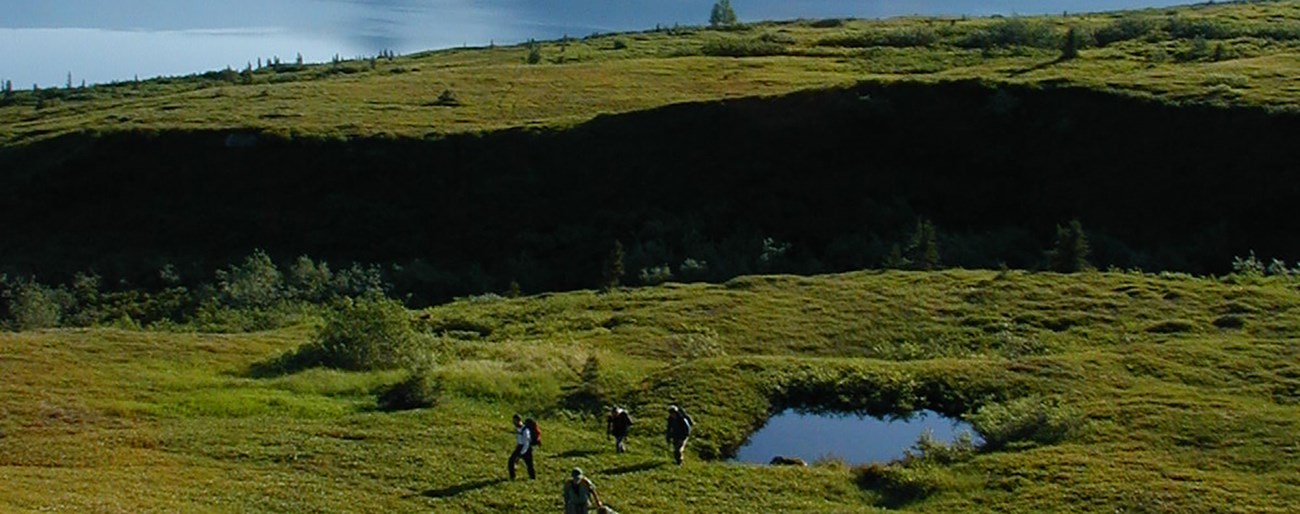 A group of four people walk across a rolling, open landscape past a small lake