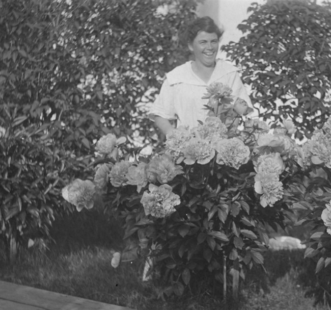 A smiling woman stands behind a waist-high peony, covered in blooms, in a black and white historical photo.