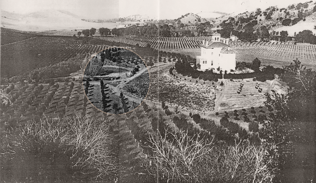 A circle indicates the location of the crate protecting the sequoia, at the intersection on the ranch where orchards surrounded an Italianate house