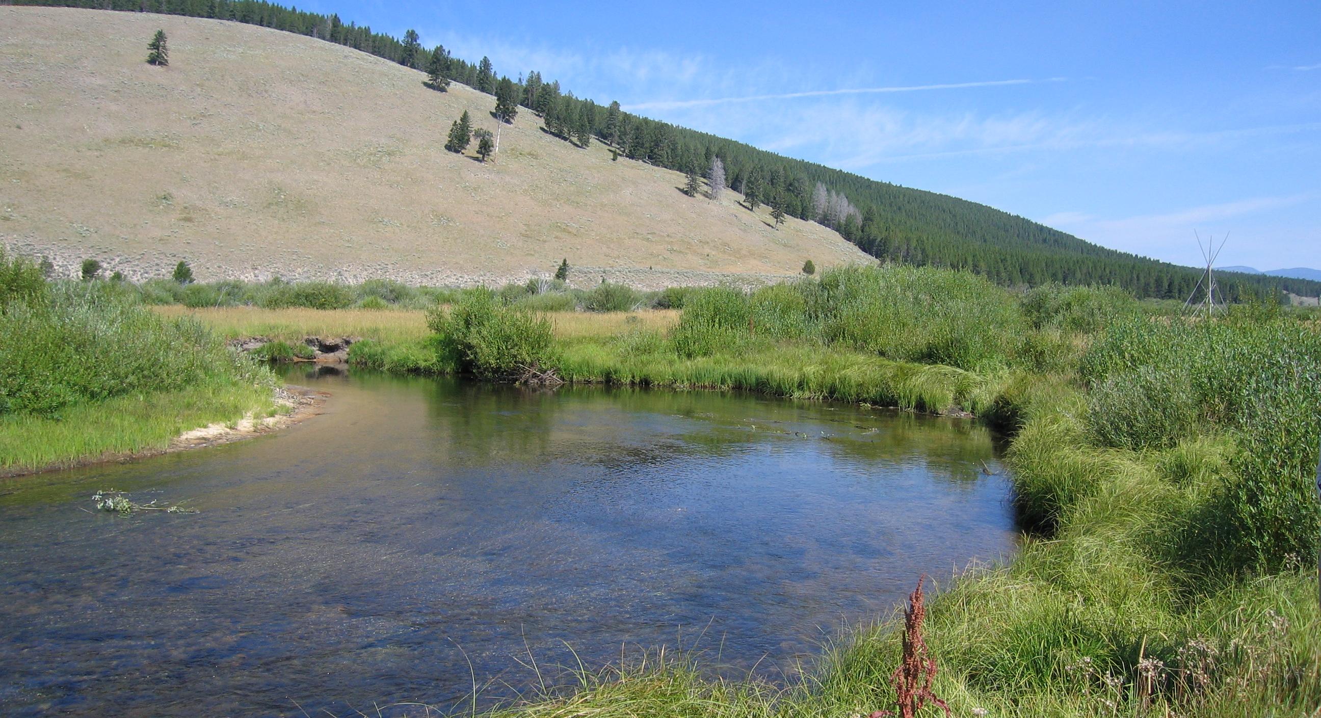 A shallow, clear river winds through a green plain, with a bare hill rising in the background.