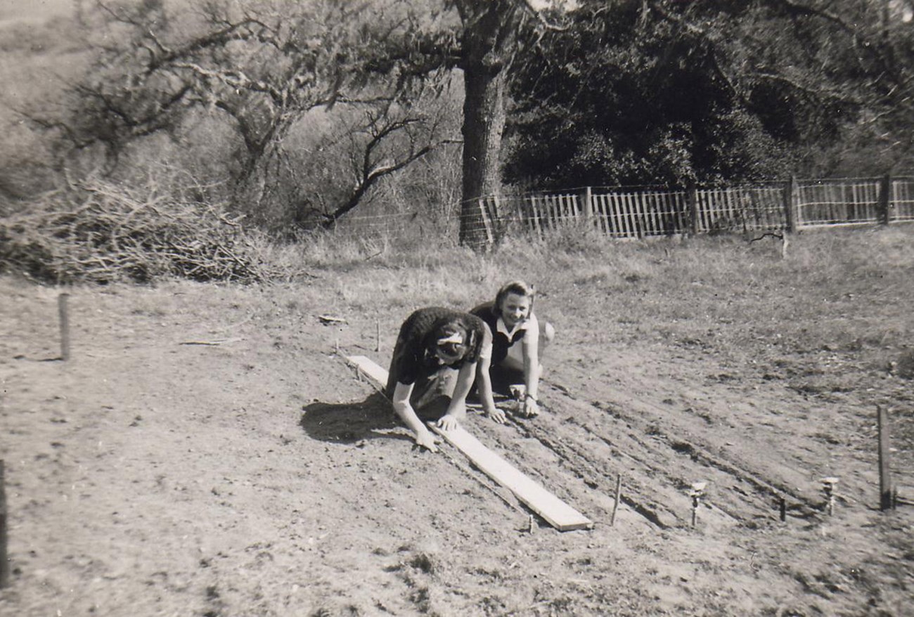 Two students use a wooden board to plant rows in a garden bed.