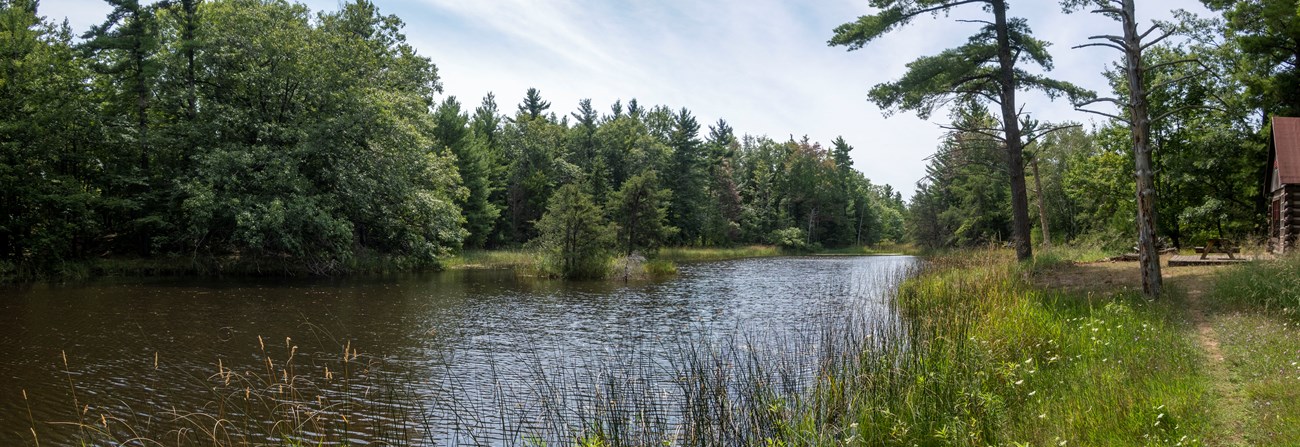 A narrow footpath leads to a log cabin to the right of a pond, which is surrounded by trees and grasses