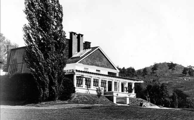 A row of young apple trees and two tall poplars grow beside a structure with a pergola and chimneys.