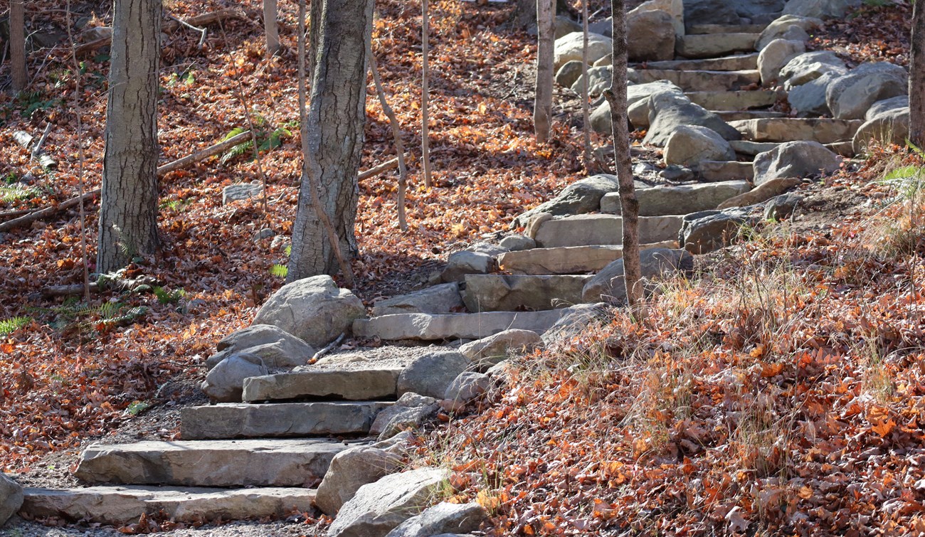A gently-curving set of stone steps with a rock border ascends a slope in a wooded area
