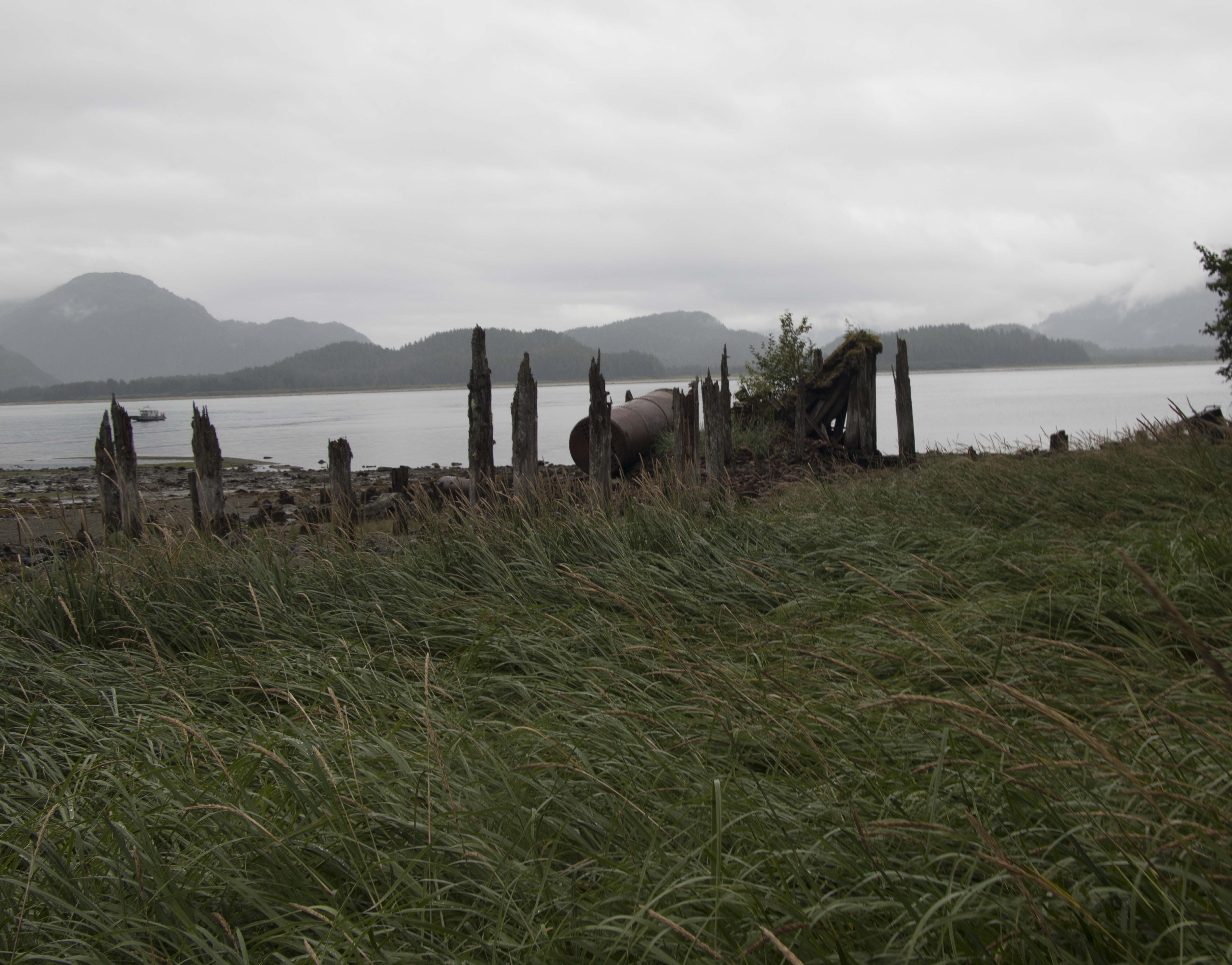 Weathered wooden piers stand in a row along a rocky shore, with long grass in the foreground and foggy mountains in the distance