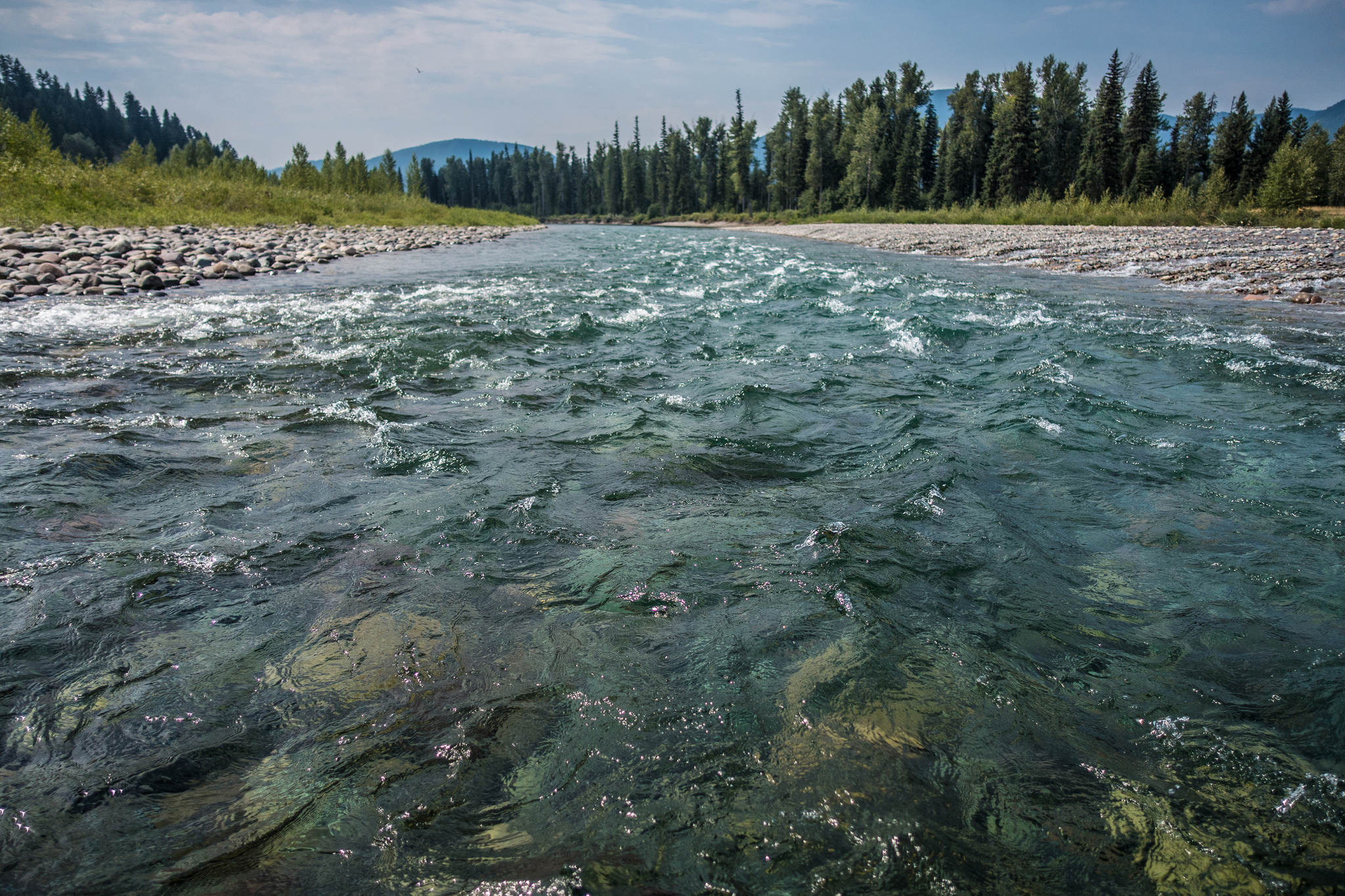 Waves texture the clear surface of a shallow river, flowing between rocky banks with evergreen trees