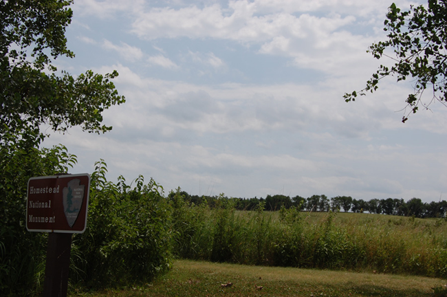 A row of trees grows on the horizon, seen across a prairie
