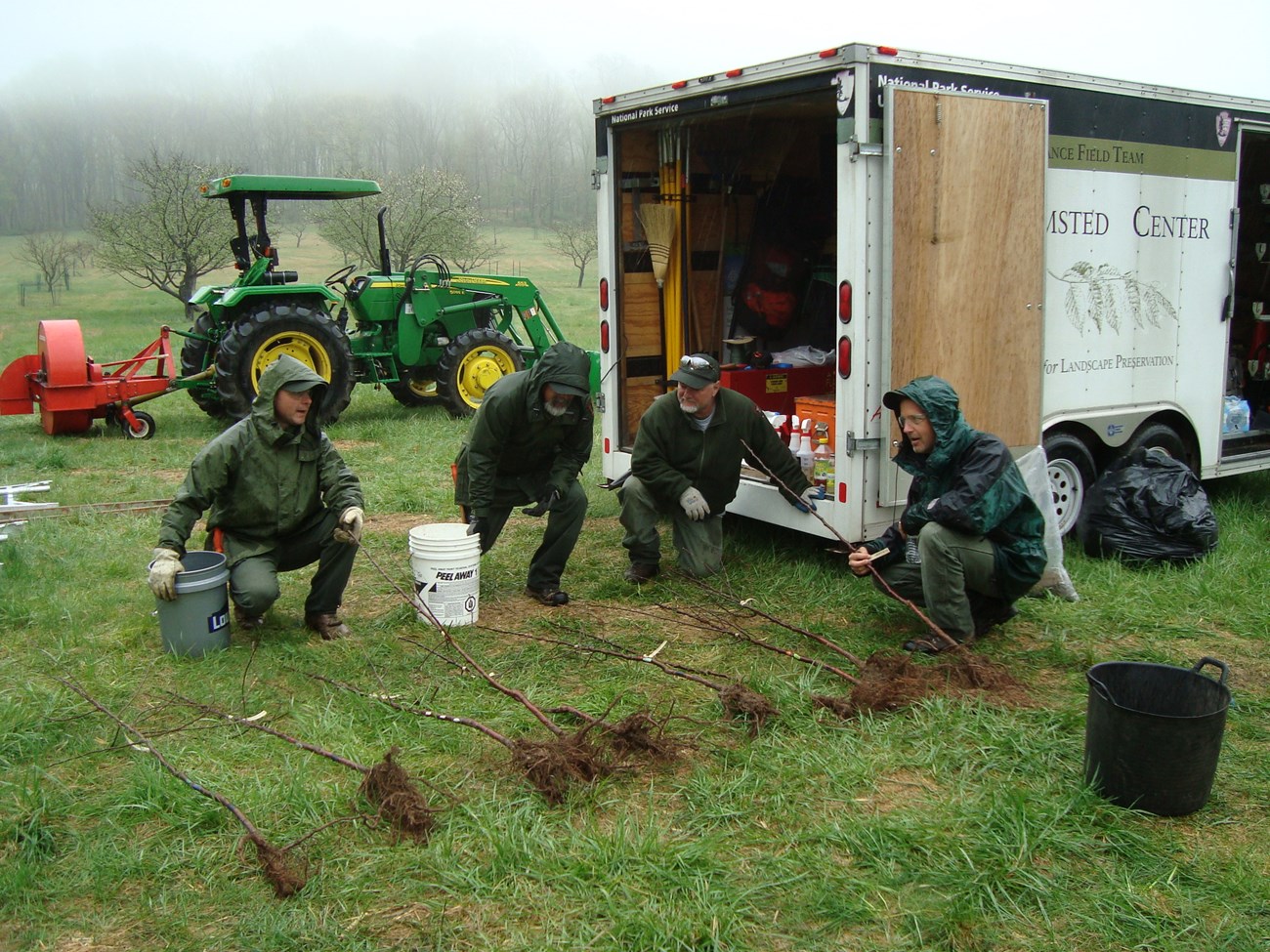 Four employees in raingear kneel beside a row of bare root trees on the ground behind a box truck.