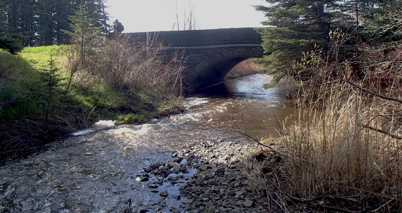 Shallow creek passes between rocky banks with vegetation before flowing under an arching stone bridge