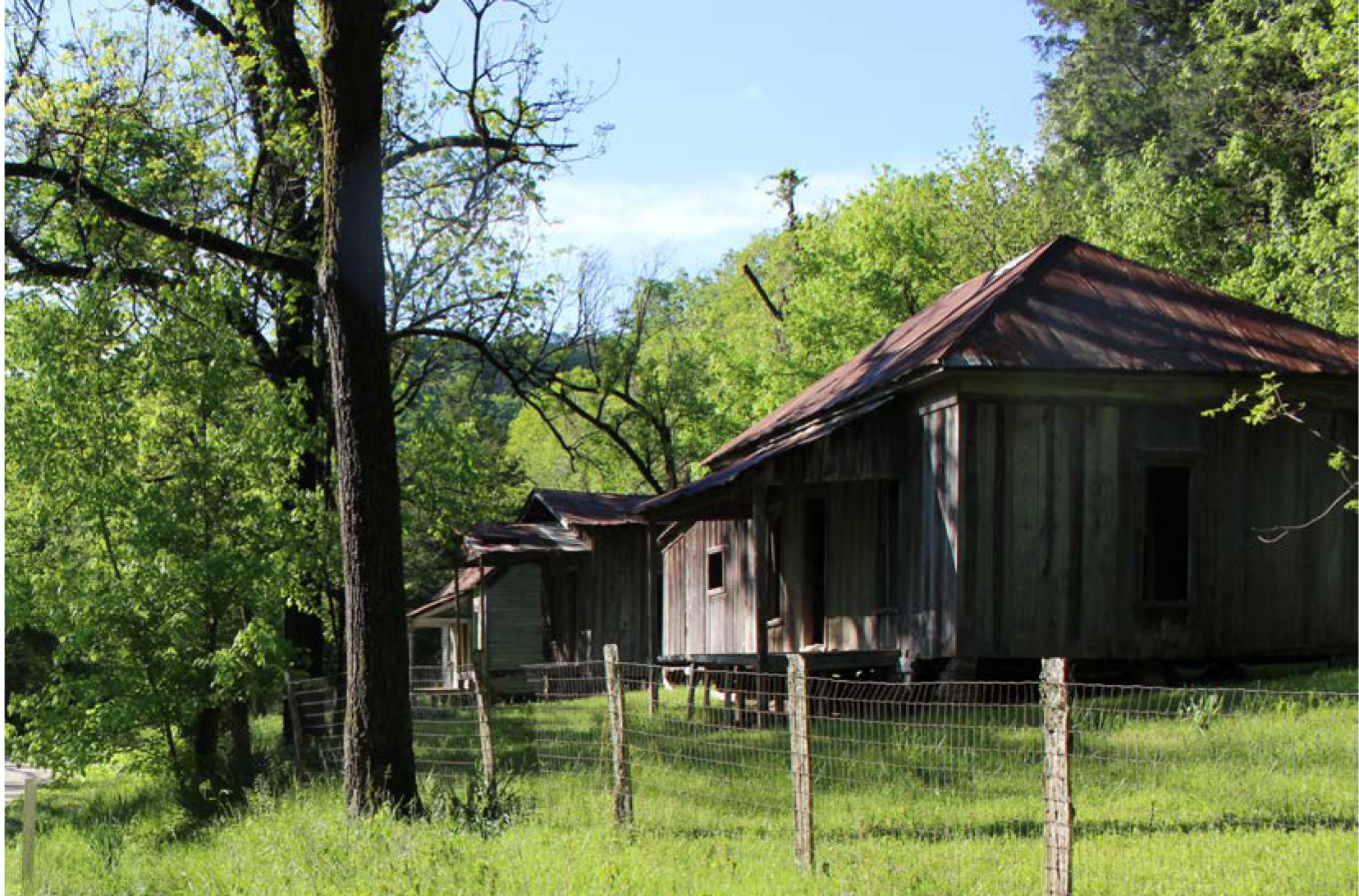 A row of shade trees grows along a fence, in front one-story wooden structures of a row of