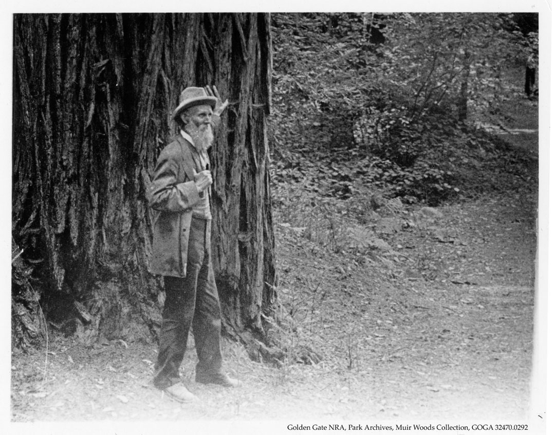 John Muir, with beard, hat, and jacket, stands with his left hand against the trunk of a wide tree.