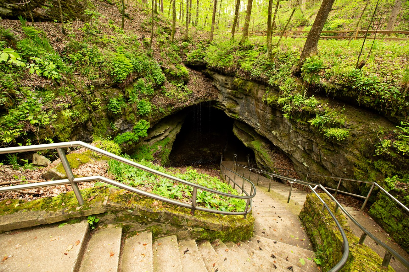 A long staircase, lined by mossy stones and metal railings, leads down to the dark opening of a cave in a wooded area