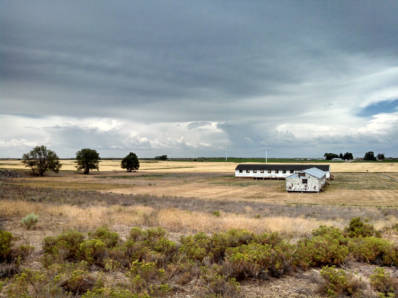 Two long, one-story structures stand perpendicular to each other in an open grassy field.