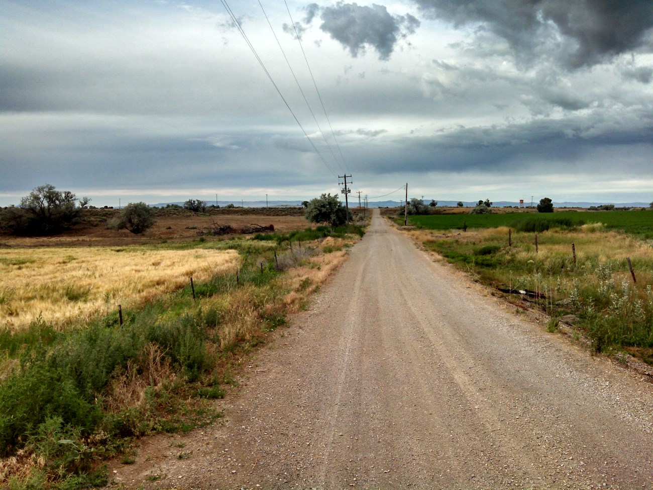 A long, straight unpaved road in a rural Western landscape of grass and scattered trees