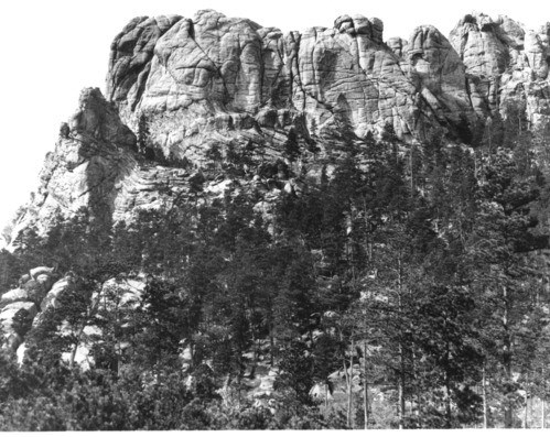 Black and white photograph of Mount Rushmore before carving began, with a prominence of textured rock rising above a conifer-covered slope