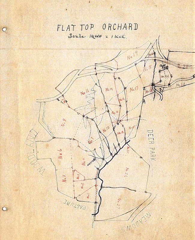 Hand-drawn map of Flat Top Orchard, divided into numbered areas and showing roads and surrounding landscape features.