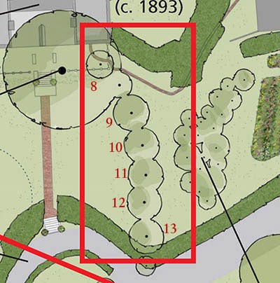 Illustration of a row of trees from a site plan, identified by a red outline.