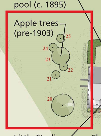 Detail of 2013 site plan shows apple trees (pre-1903) to the left of a building, outlined by a red square.
