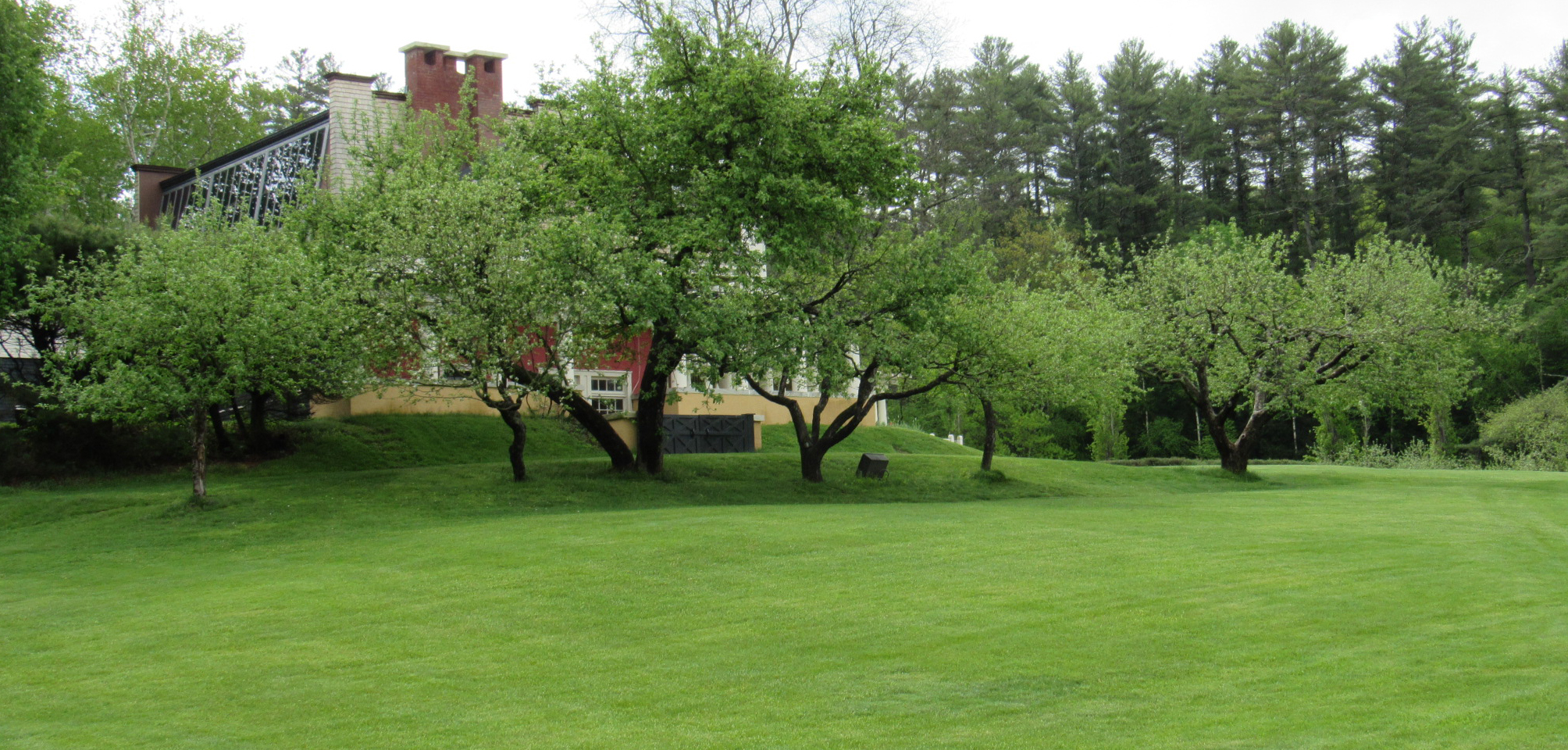 A row of leafy apple trees in a grassy, sloping area in front of a structure.