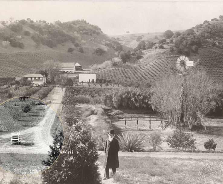 A man in a hat and long coat stands to the right of a wooden crate at the end of a driveway, with orchards and rolling hills in the background