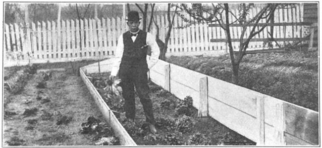 Booker T. Washington in vest and hat holds lettuce in a garden, surrounded by wooden fence