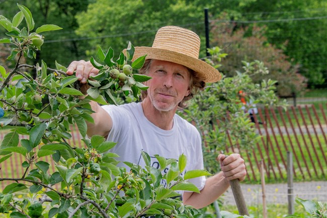Tim Makepeace, wearing a sunhat and holding a shovel, stands beside a young apple tree with leafy branches and small fruit.