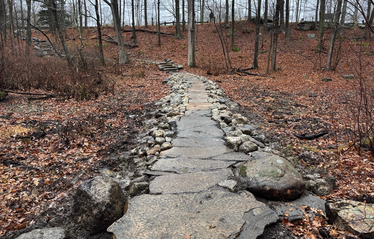 The stone causeway forms a raised pathway through a wooded area, leading to stone steps on a slope