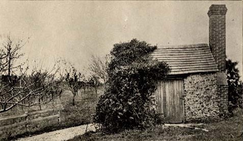 Vines grow over one half of a small brick structure with a wooden door and chimney.