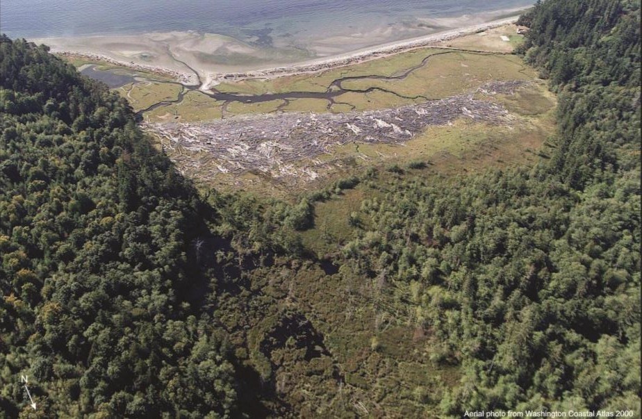 Overhead view of tidal marsh where tree-covered hills meet shoreline.