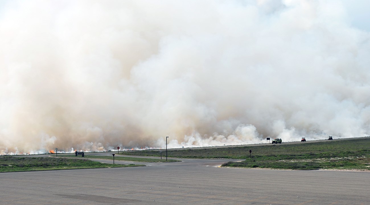 Thick smoke rises from an area beyond a road.